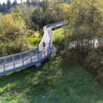 Hall Creek Restoration Project Aug 25, 2024