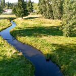 Hall Creek Restoration Project Aug 25, 2024
