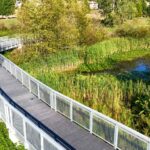 Hall Creek Restoration Project Aug 25, 2024