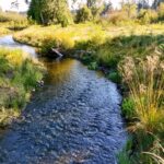 Hall Creek Restoration Project Aug 25, 2024