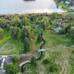Revisting the Hall Creek Restoration Project, looking south, 9-29-24