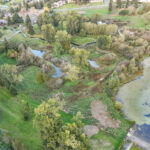 Revisting the Hall Creek Restoration Project, looking northeast, 9-29-24