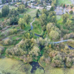Revisting the Hall Creek Restoration Project, looking north, 9-29-24