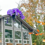 42nd Pl W and 230th Pl SW, Mountlake Terrace 10-26-24