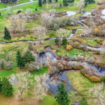 Hall Creek Restoration Project Revisited.  Looking east, 11-24-24