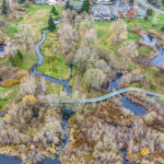 Hall Creek Restoration Project Revisited.  Looking north. 11-24-24