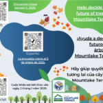 Screenshot 2024-11-22 at 8.05.38 AM