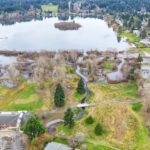 Hall Creek Restoration, Dec. 19