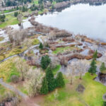 Hall Creek Restoration, Dec. 19