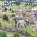 Hall Creek Restoration, Dec. 19