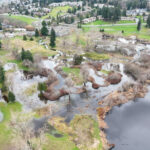 Hall Creek Restoration, Dec. 19