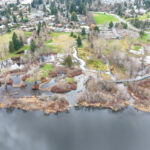 Hall Creek Restoration, Dec. 19