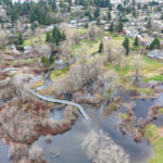 Hall Creek Restoration, Dec. 19