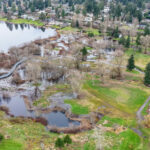 Hall Creek Restoration, Dec. 19