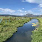 Screenshot-2025-05-26-at-10.29.16 AM