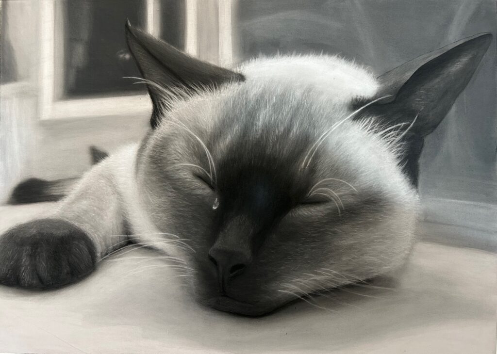 Art Beat: Graphite art and more in January, February