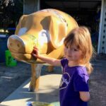 Art Beat feature: ‘Some Pig’