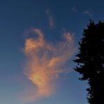 Scene in Mountlake Terrace: Sunday evening sky