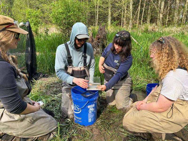 Washington Conservation Corps opens recruitment for AmeriCorps members statewide