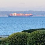 Trade policy, tariffs and more — Aug. 26 webinar explores what businesses need to know