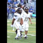 Prep football: Royals cancel Week 9 game due to injuries