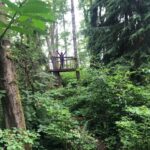 Snohomish County closes two parks due to hazardous trees