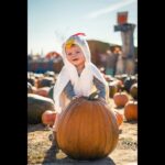 South SnoCo Playtime: Your Family Fun Guide for Oct. 26-Nov. 1, 2026