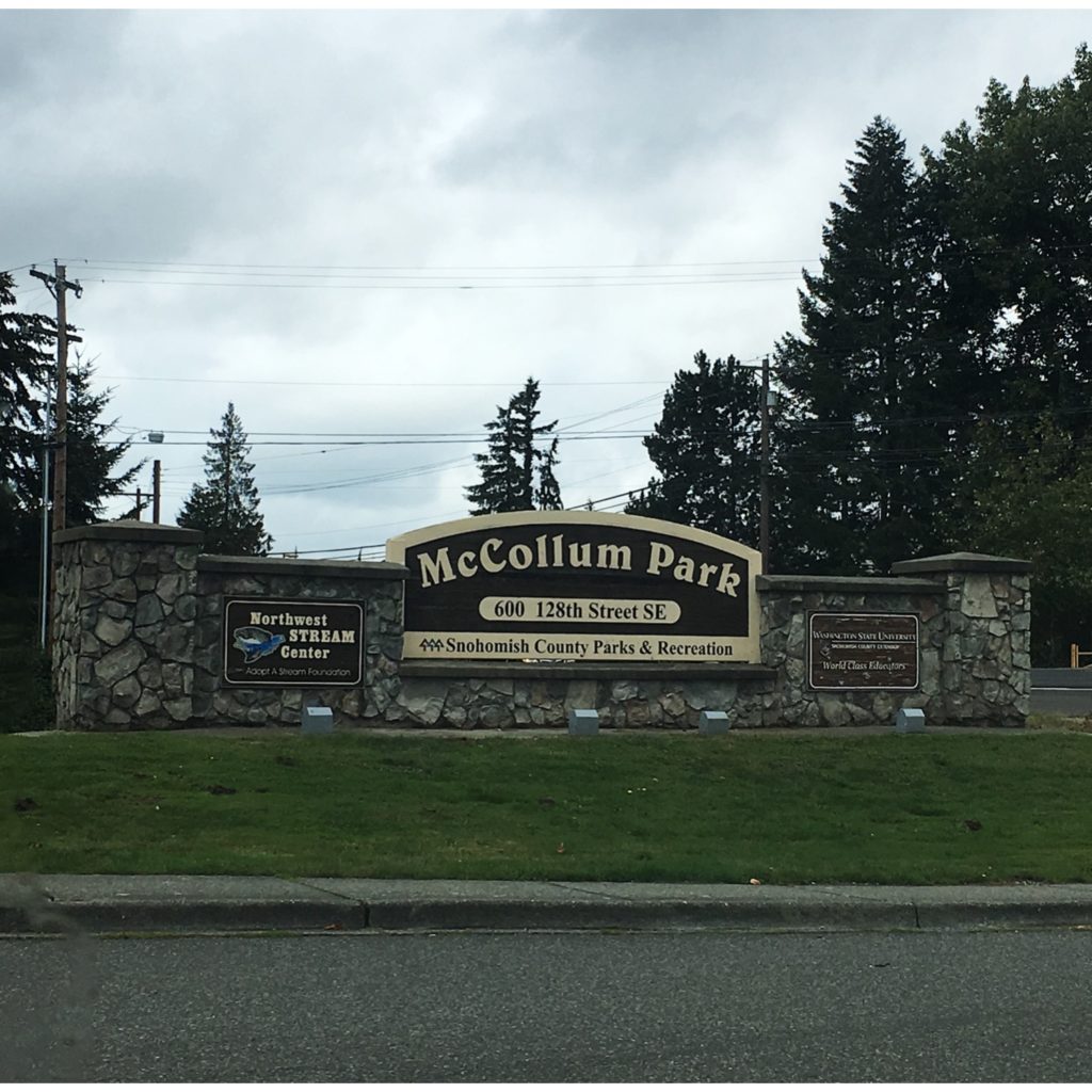 McCollum Park