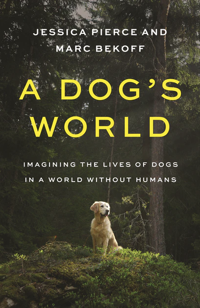 Edmonds Booktalk: Books for the 'dog days' of summer My Edmonds News