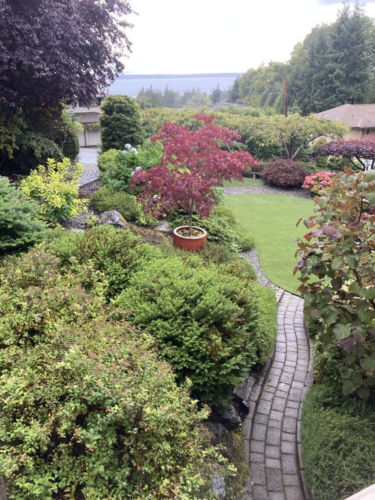 Scene in Edmonds: Fall colors on a gray day - My Edmonds News