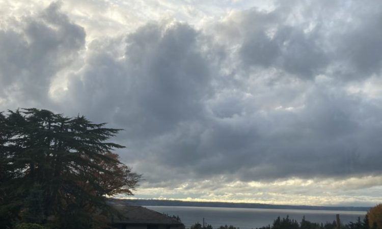 Scene in Edmonds: Rainbow, clouds and leaves - My Edmonds News