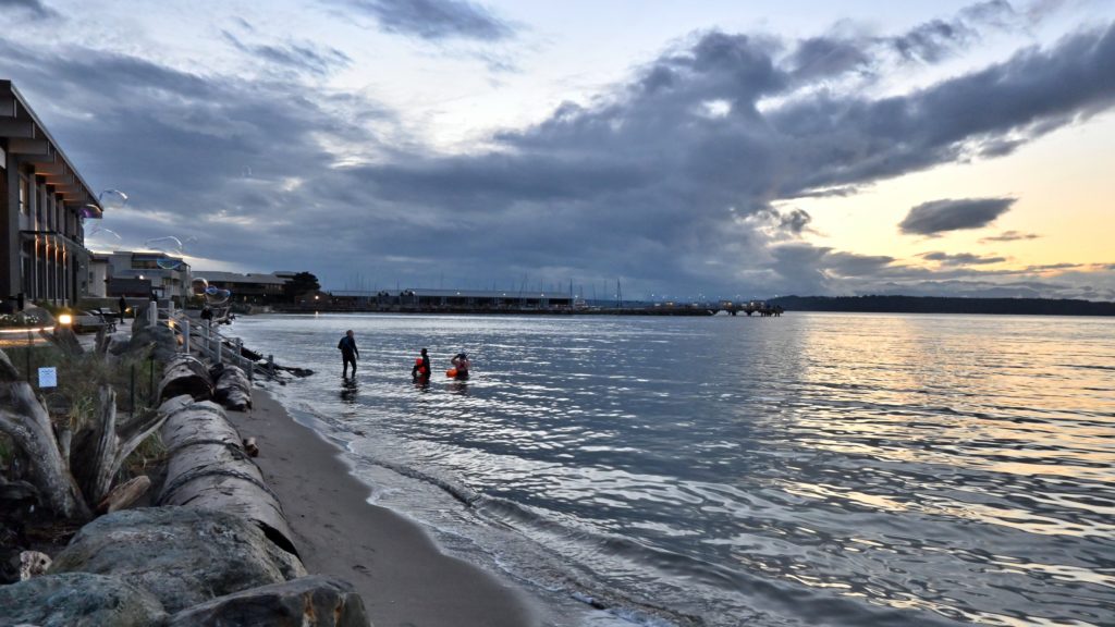 Edmonds Tide Scene in Edmonds: Inteprid swimmers at high tide - My Edmonds News