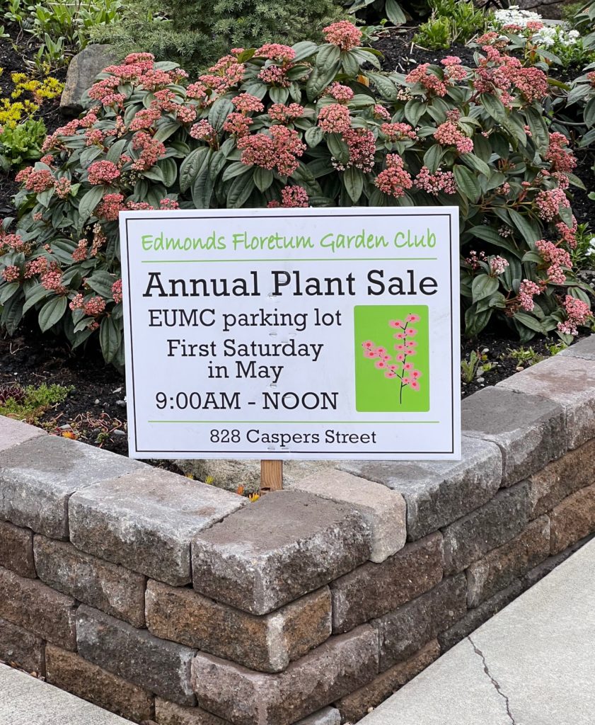 Scene in Edmonds Blooms of season My Edmonds News