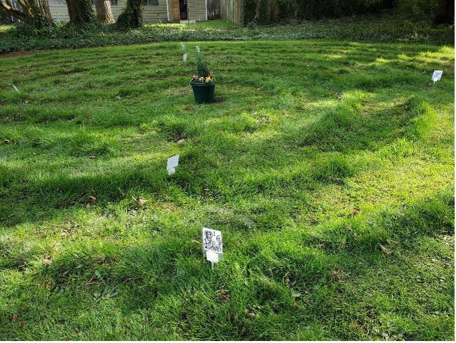 St. Alban’s holding Stations of the Cross in the Labyrinth on Good ...