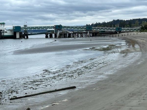 Edmonds Tide Scene in Edmonds: Low-tide Tuesday - My Edmonds News
