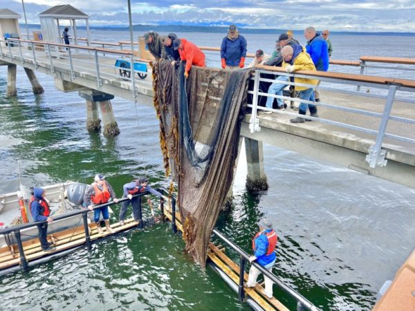 Scene in Edmonds: Salmon pen moved into place - My Edmonds News