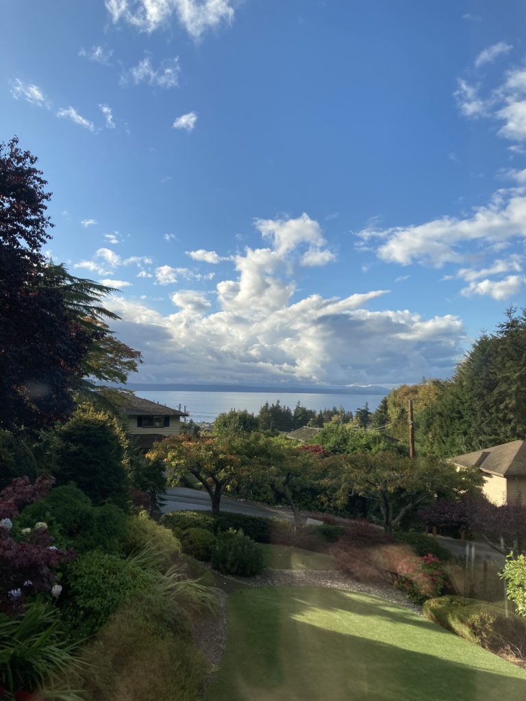 Scene in Edmonds: Fall foliage and clear skies - My Edmonds News