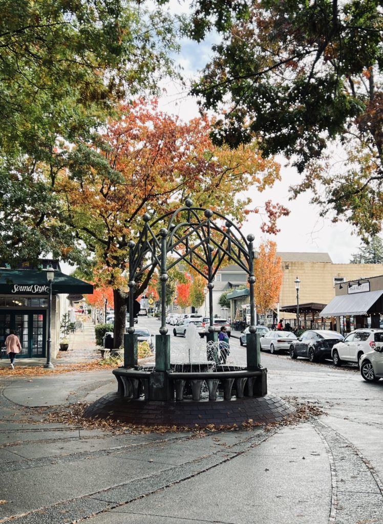 Scene in Edmonds: Fall foliage and clear skies - My Edmonds News