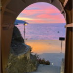 Screen Shot 2022-10-21 at 7.16.48 AM