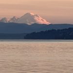 880055D2-61A1-45CB-B37D-7CF381234F8D