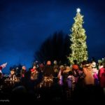 tree lighting-1050-web