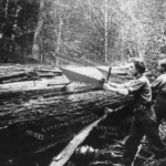 Cutting Rounds – North Cascades – Library of Congress
