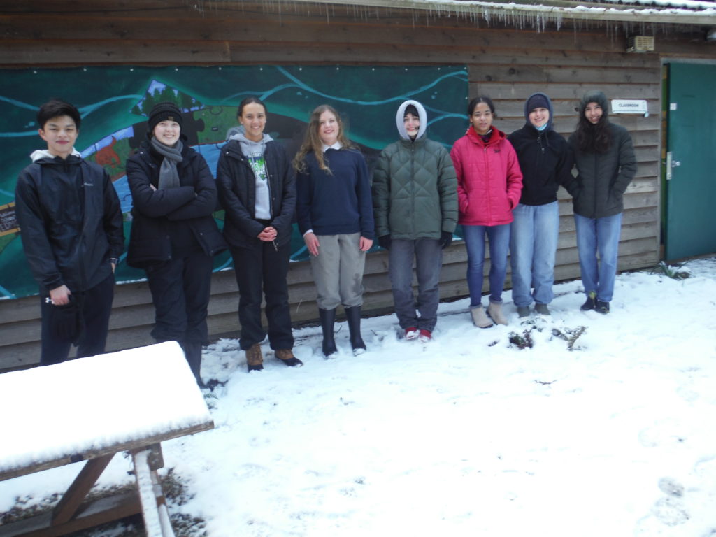 Scene in Edmonds Students helping salmon recovery My Edmonds News