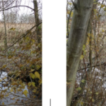 Screen Shot 2022-12-04 at 3.27.16 PM