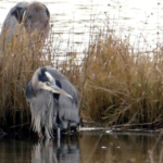 Screen Shot 2022-12-04 at 3.27.57 PM