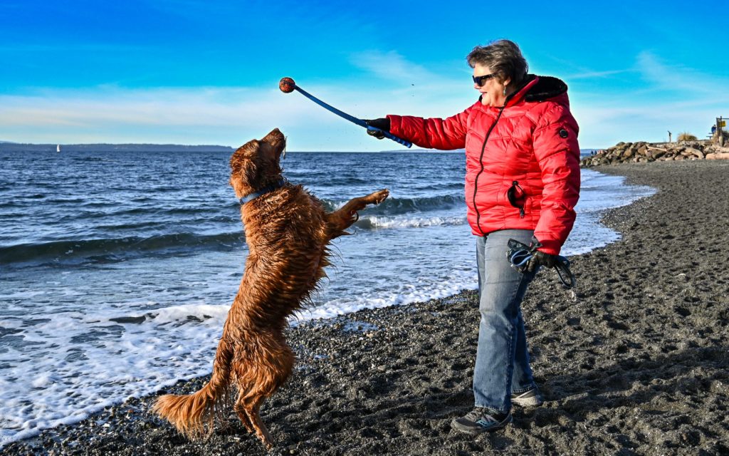 Scene in Edmonds Dog day afternoon My Edmonds News