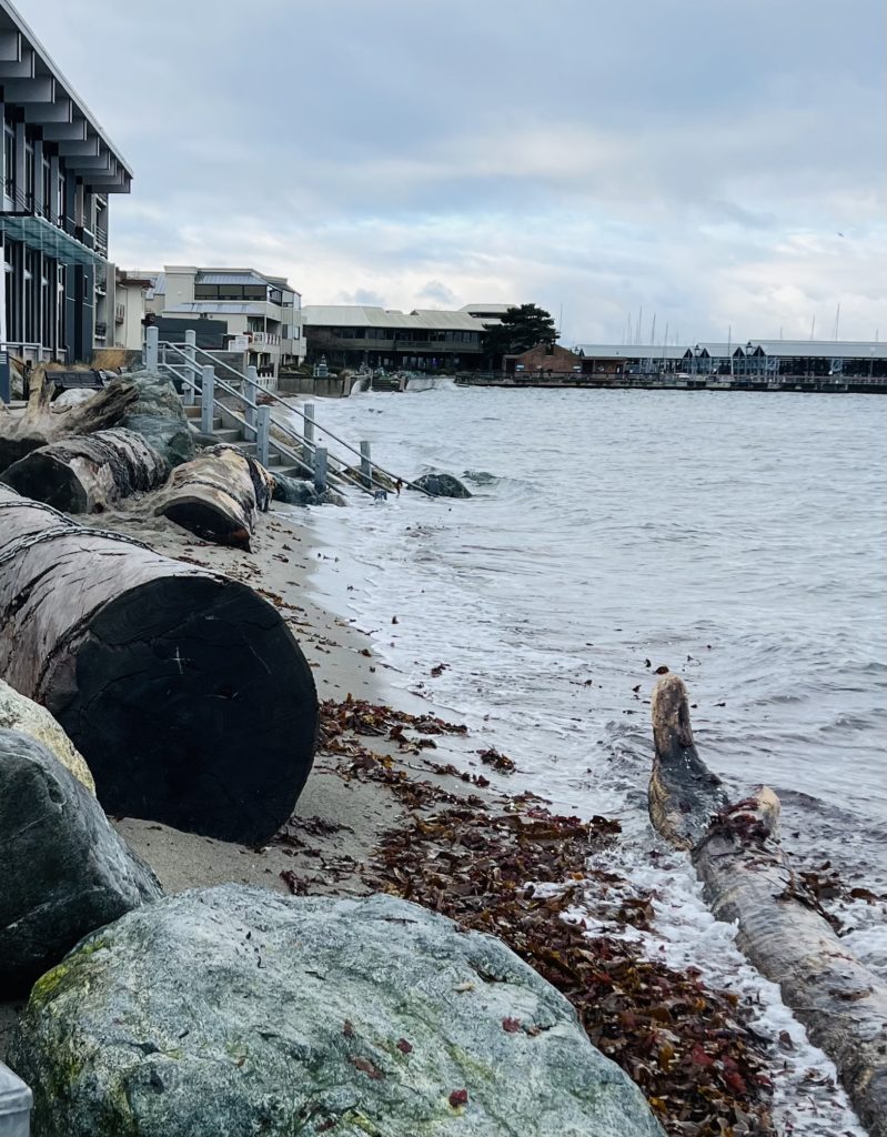 Scene in Edmonds Friday high tide My Edmonds News