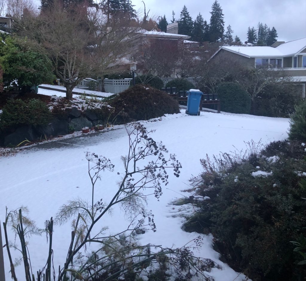 snow My Edmonds News