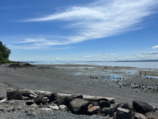 Edmonds Tide Scene in Edmonds: Low-tide Tuesday - My Edmonds News