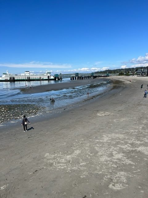 Edmonds Tide Scene in Edmonds: Low-tide Tuesday - My Edmonds News